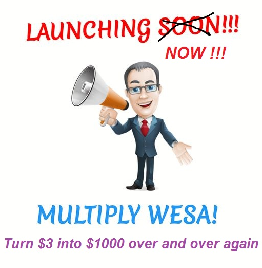 MultiplyWesa